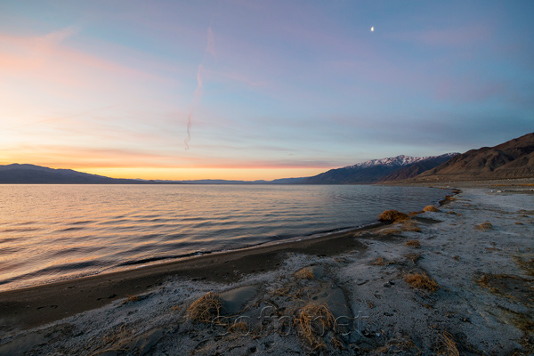 Walker Lake, Nevada