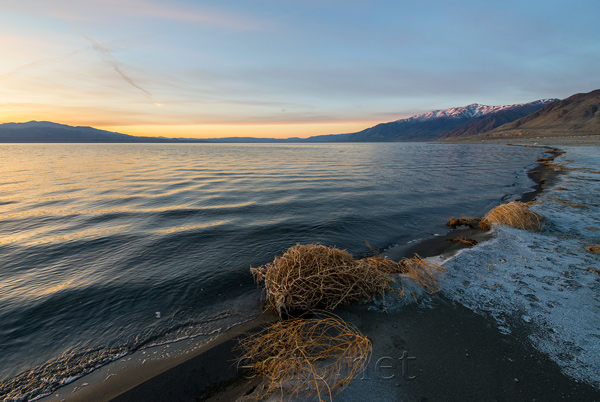 Walker Lake, Nevada