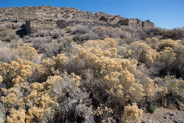 Palmetto, Nevada