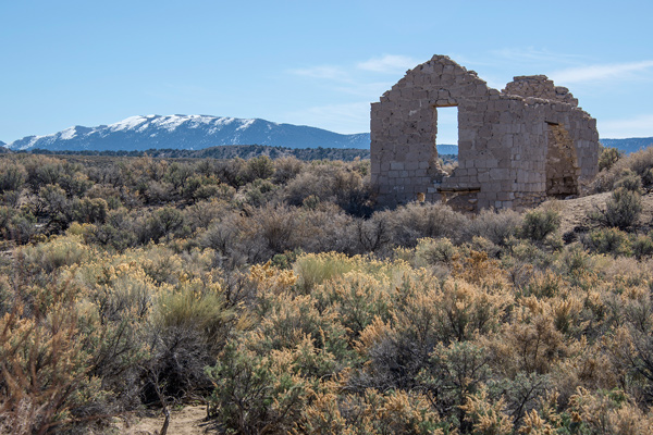 Palmetto, Nevada