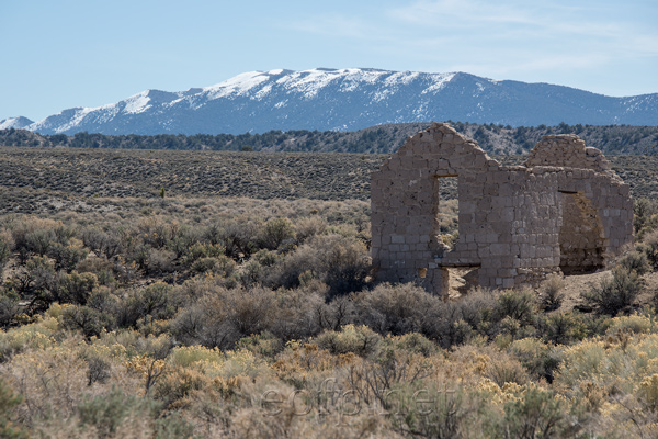 Palmetto, Nevada