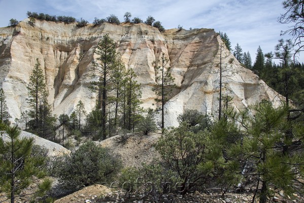 Malakoff Diggins State Park