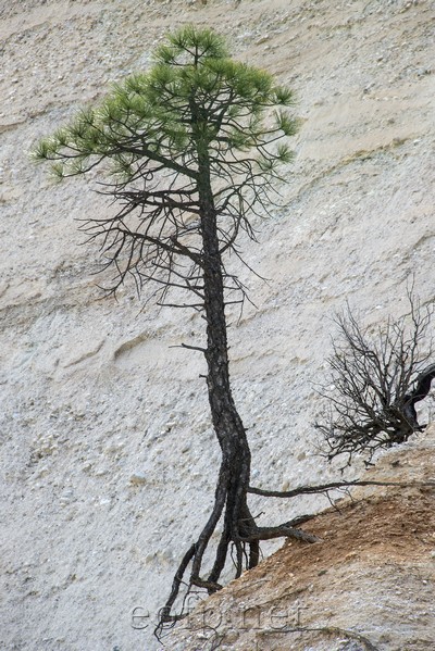 Malakoff Diggins State Park