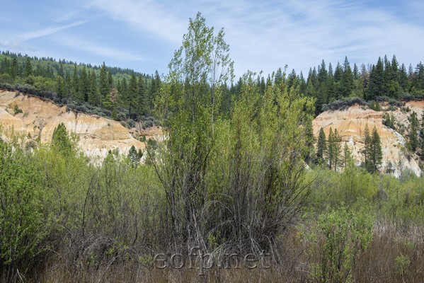 Malakoff Diggins State Park