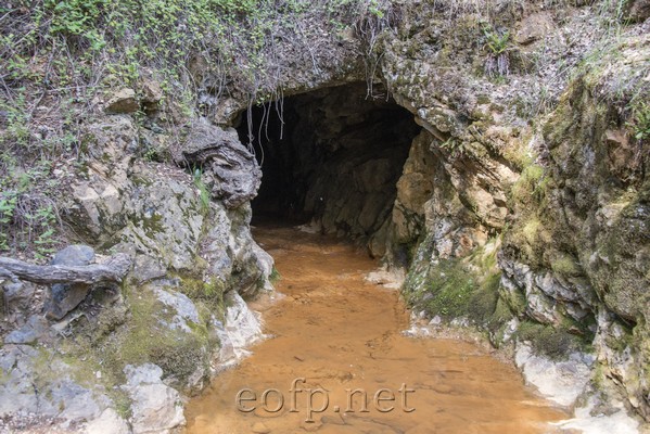 Malakoff Diggins State Park