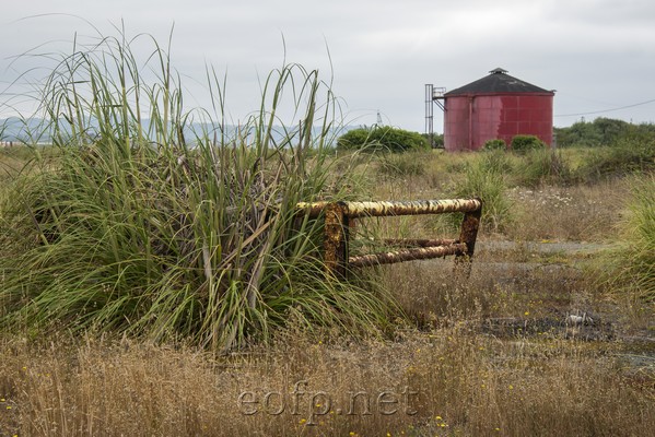 Samoa California