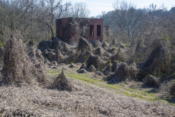 Ramseur, North Carolina