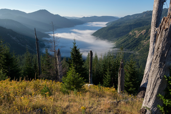 Mount Saint Helens, Washington