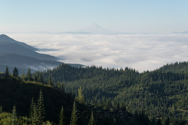 Mount Saint Helens, Washington