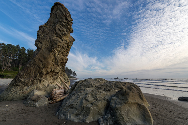 Olympic Peninsula, Washington