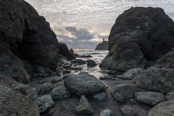 Olympic Peninsula, Washington