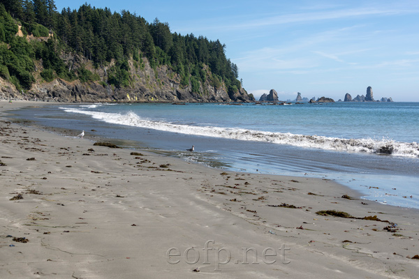 Olympic Peninsula, Washington