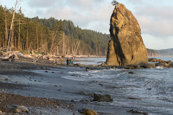 Olympic Peninsula, Washington