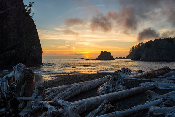 Olympic Peninsula, Washington