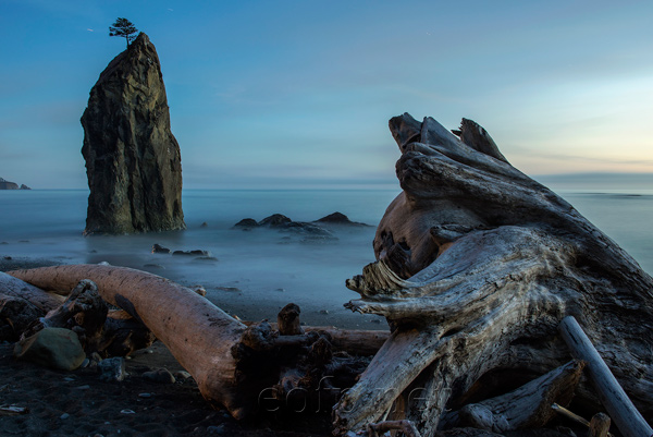 Olympic Peninsula, Washington