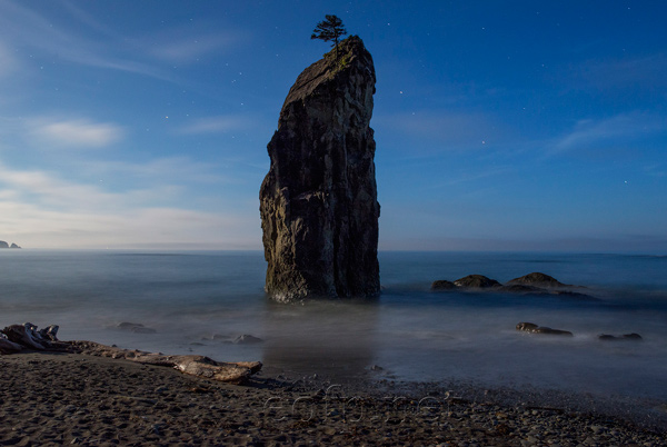 Olympic Peninsula, Washington