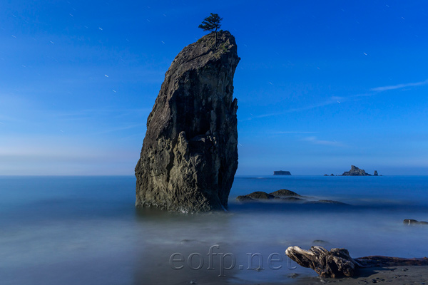 Olympic Peninsula, Washington