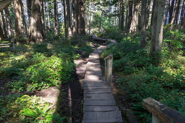 Olympic Peninsula, Washington