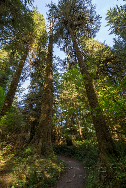 Olympic Peninsula, Washington