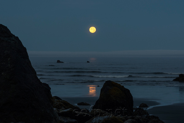 Olympic Peninsula, Washington