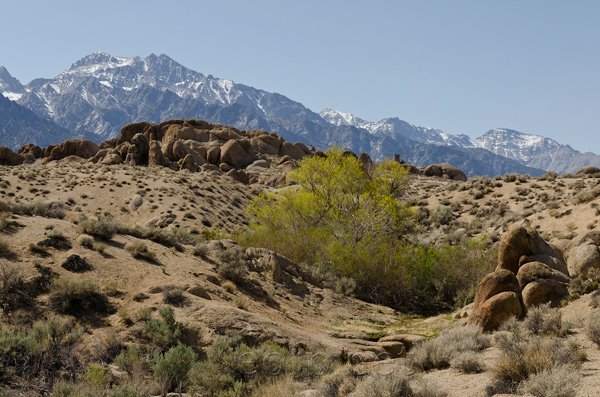 Alabama Hills