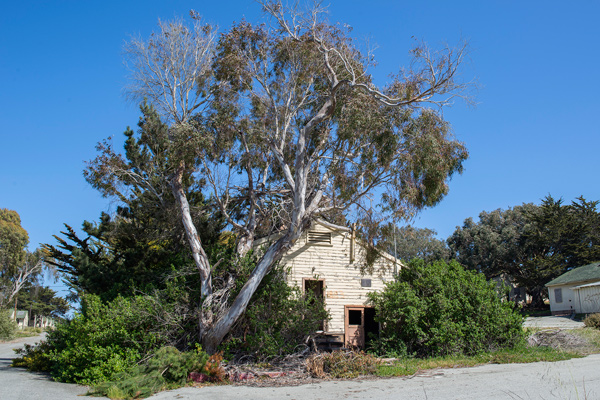 Fort Ord, California