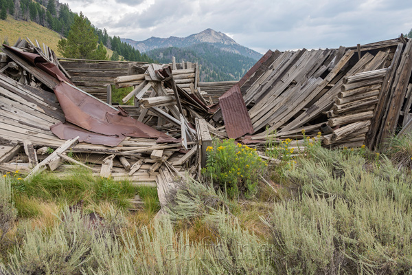 Bonanza Idaho