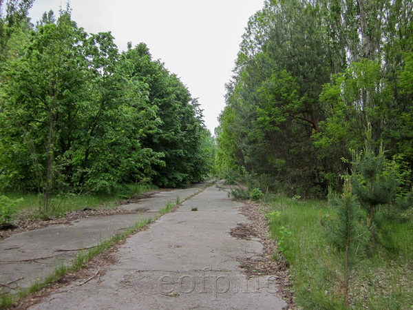 Chernobyl - Pripyat