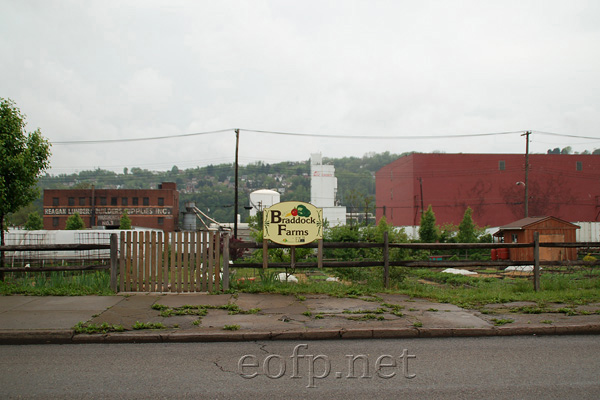 Braddock Farms