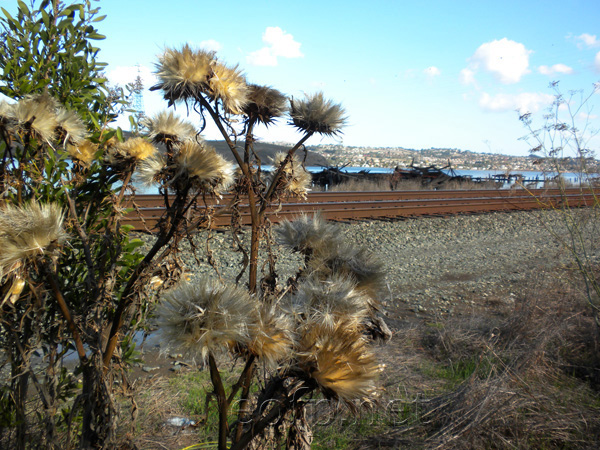 Carquinez Straight near Crockett CA