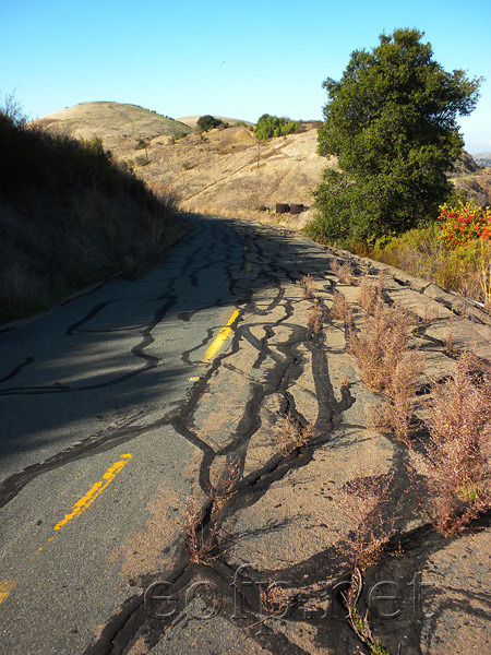 Carquinez Senic Drive near Port Costa