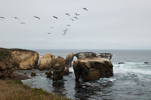 Dioblo Canyon