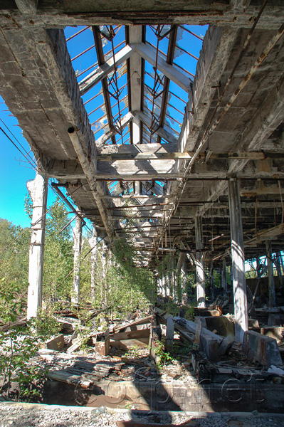 Quincy Stamp Mill