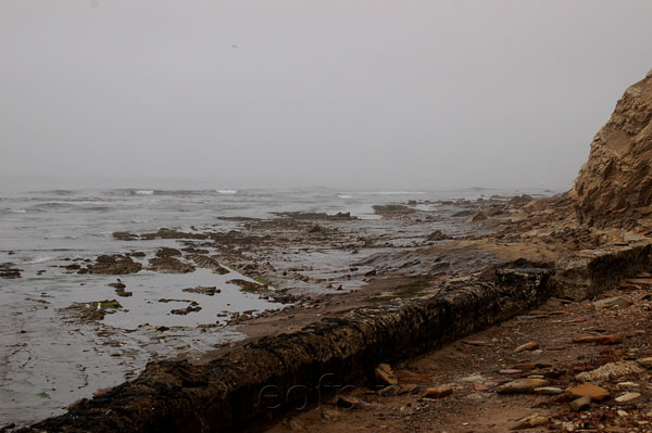 Jalama Beach