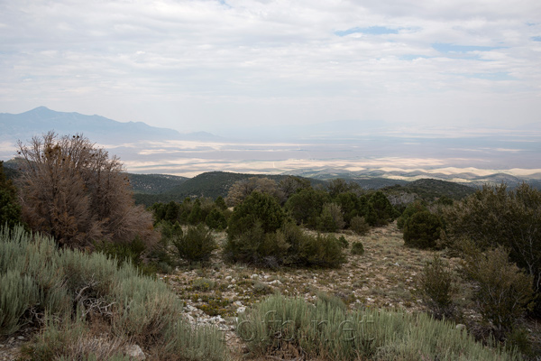 Great Basin National Park