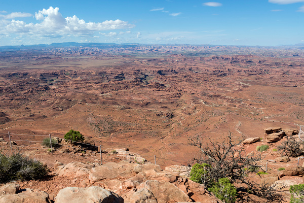 Needles Overlook