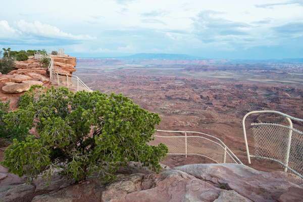 Needles Overlook