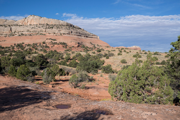 Needles Overlook