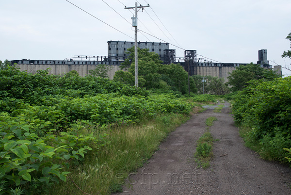 Buffalo Grain Silos and South Lakeshore