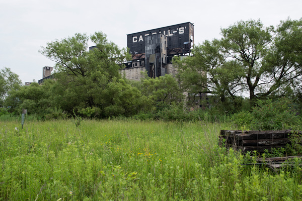 Buffalo Grain Silos and South Lakeshore