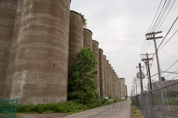 Buffalo Grain Silos and South Lakeshore