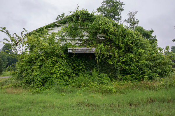 Mound City