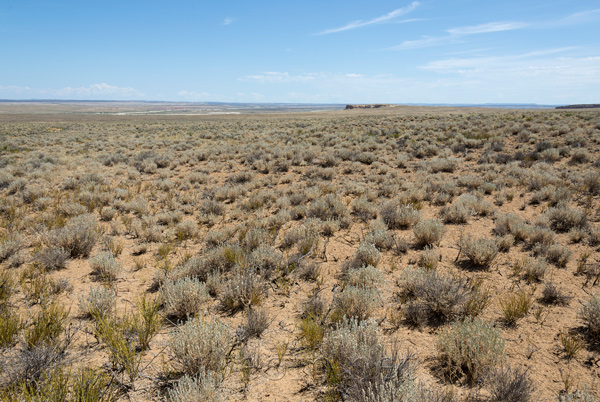 Chaco Canyon