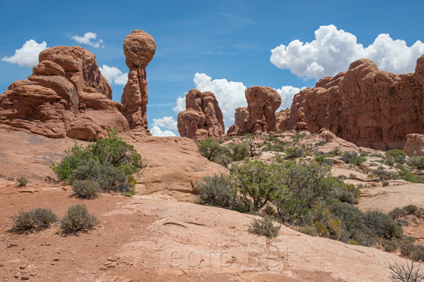 Arches