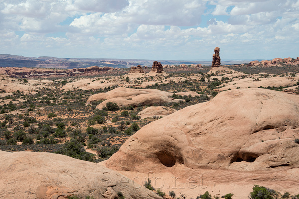 Arches