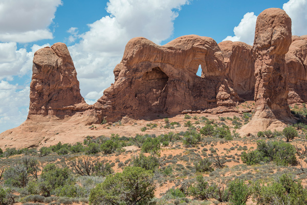 Arches