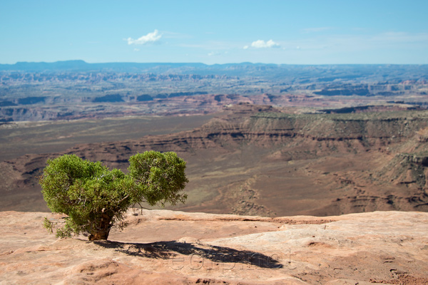 Canyonlands National Park, Utah