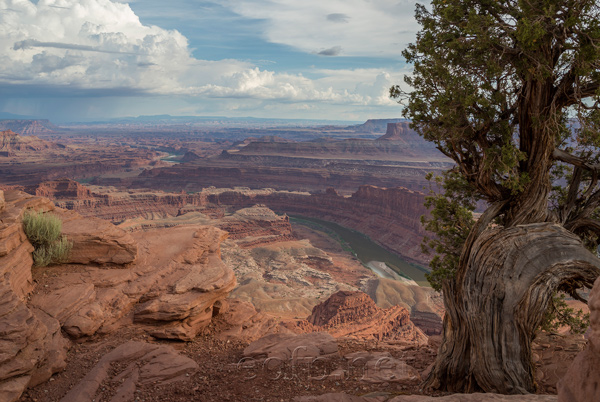 Dead Horse Point