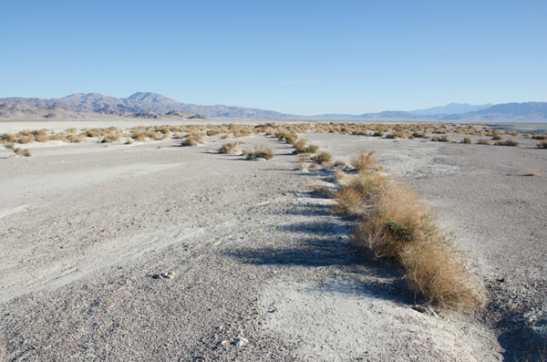 Trona Pinnacles