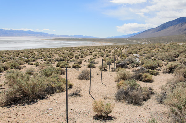 Owens Dry Lake